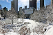 Winter Storm 2026 landscape with snow-covered trees and buildings in a winter setting.