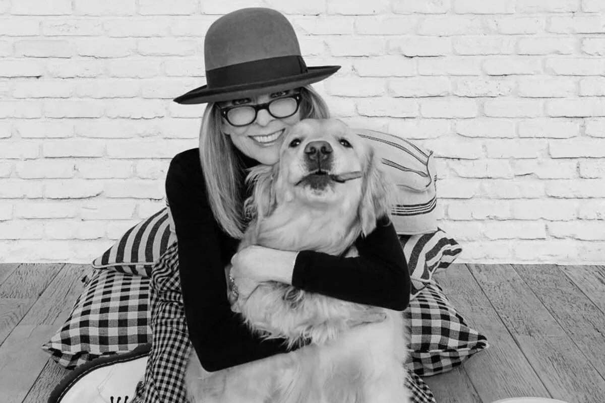 Load video: ABC News tribute video remembering Diane Keaton’s legacy and Hollywood impact, featured in Crazedo’s 2025 cultural reflection article.